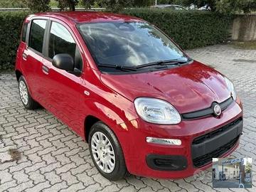 FIAT - Panda - 1.0 FireFly S&S Hybrid Launch Ed.