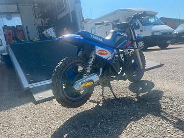YAMAHA pw50