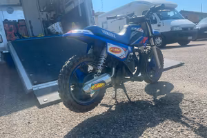 YAMAHA pw50