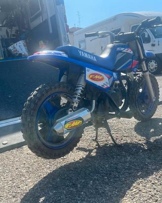 YAMAHA pw50