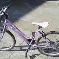 bicicletta ruota 26