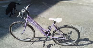 bicicletta ruota 26