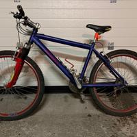 Bicicletta