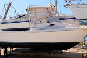 Cobia 270 WA macchina da pesca da MOTORIZZARE