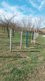 Terreno con Tartufaia