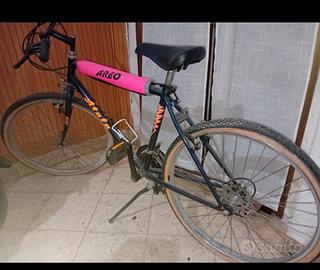 Mountain bike Atala donna
