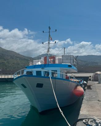 Barca a cirquizione
