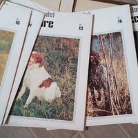 "Enciclopedia del cacciatore" illustrata vintage