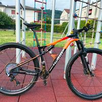 MTB Wilier Triestina 110 Fx