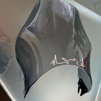 Cupolino Puig Fumè Universale Moto Faro Tondo