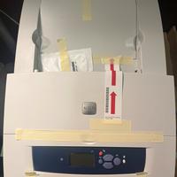 Stampante XEROX Phaser 8560 Colori