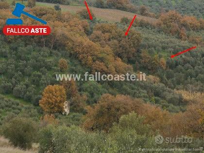 TRIBUNALE DI SALERNO - RG 155/2019 Terreni in asta - Vista 2