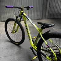 Wheelie bike 29”