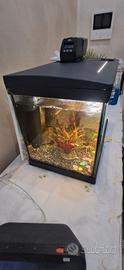 Acquario