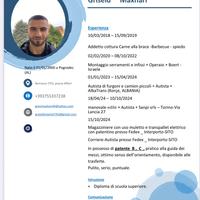 Autista o magazziniere