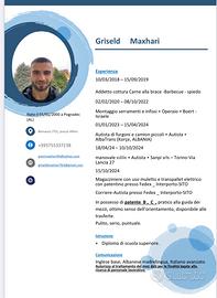 Autista o magazziniere