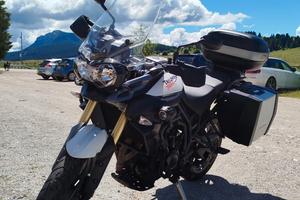 Tiger 800