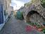 Immagine 13