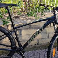 MTB Giant Talon 1 29 promo
