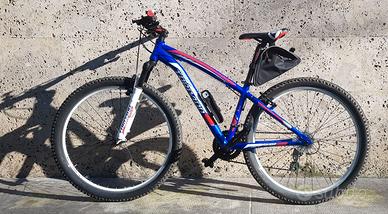 bici Torpado 