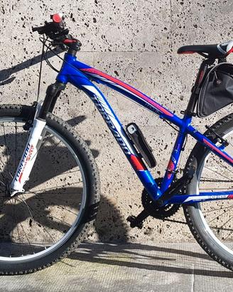 bici Torpado 