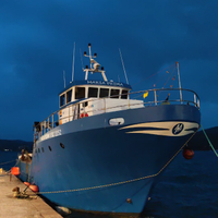 Peschereccio a circuizione