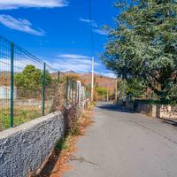 07 Pedara Terreno agricolo mq 1000