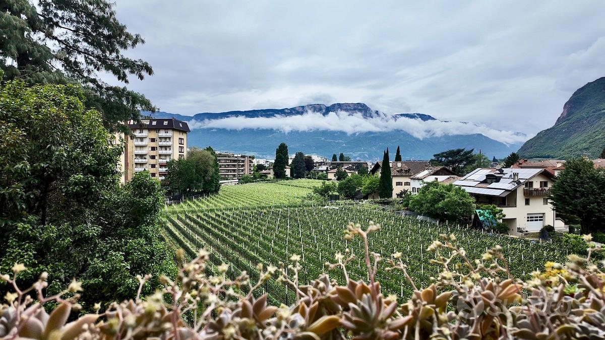 Quadrilocale con garage, cantina e soffitta