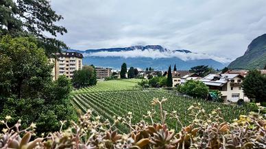 Quadrilocale con garage, cantina e soffitta
