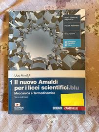 Il NUOVO AMALDI per i licei scientifici.blu