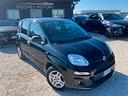 fiat-panda-1-2-lounge-neopatentati