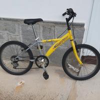 bicicletta da ragazzo