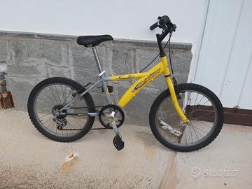 bicicletta da ragazzo