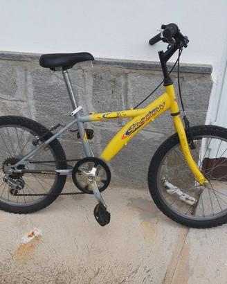 bicicletta da ragazzo