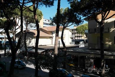 Pinarella estate 2026 5 posti climatizzato