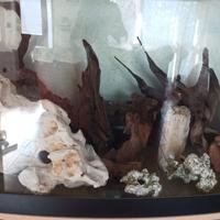 acquario Askol tenerif Sinuo 250l