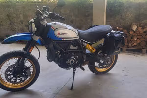 Ducati Scramble Desert Sled
