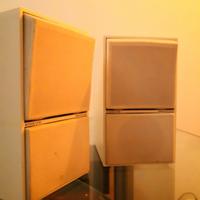 Beovox cx50 bang & olufsen