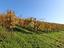 Immagine 25