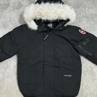canada goose