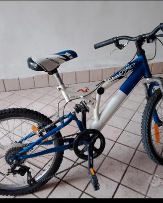 bicicletta per ragazzo 