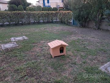 cuccia per gatti