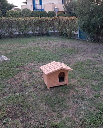 cuccia per gatti