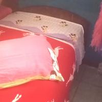 Letto singolo stile montagna 