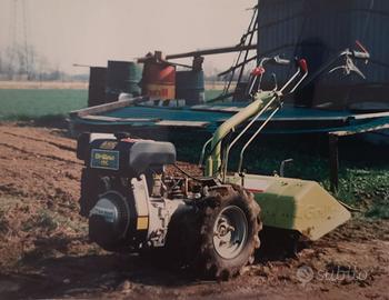 Grillo 126 a benzina motore acme 350 4 tempi