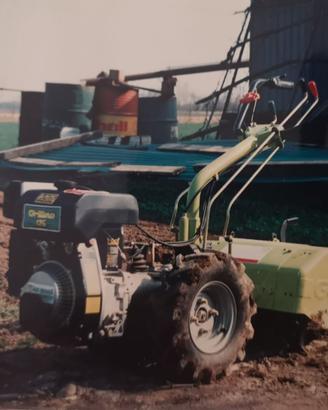 Grillo 126 a benzina motore acme 350 4 tempi