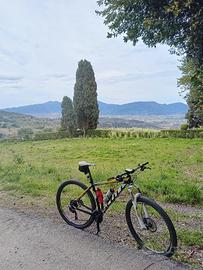 Scott Scale 970 MTB 29" (Taglia L)