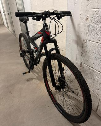 Bici mountain bike