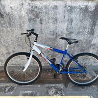 Bicicletta 24 pollici