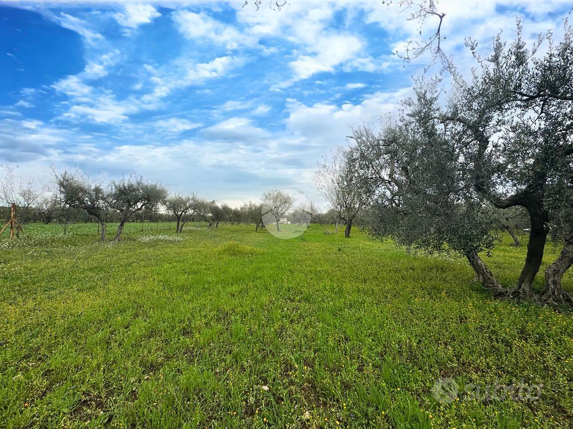 TER. AGRICOLO A LUCERA - Altro